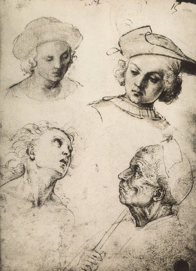 Estudo de quatro rostos masculinos; desenho de Raphael. Gallerie dellAccademia, Veneza de Raffaello Sanzio Raphael