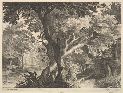 Paisagem arborizada. de Raphael Sadeler