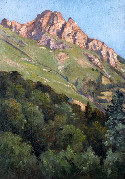 Paisagem com montanha (óleo sobre madeira) de Raymond Bonnefon