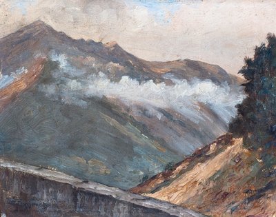 Paisagem dos Pirinéus em Cauterets (óleo sobre madeira) de Raymond Bonnefon