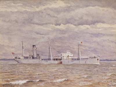 O cargueiro norueguês Thoroy no estuário do Gironde de Raymond Bonnefon