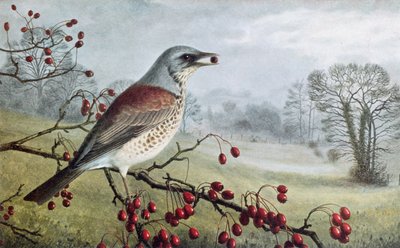Campo de batalha de Raymond Booth