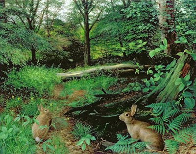 No bosque - Uma noite de verão (óleo sobre tábua) de Raymond Booth