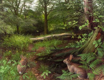 No bosque - uma noite de verão (13) (óleo sobre tábua) de Raymond Booth