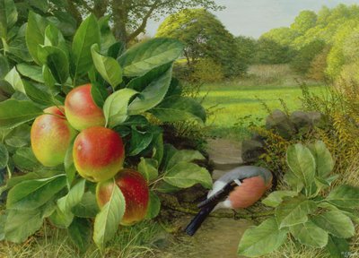 Katja Apple e Dom-fafe de Raymond Booth