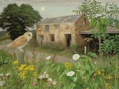 The Old Farm Buildings at Eccup, 2000 (óleo sobre cartão) de Raymond Booth
