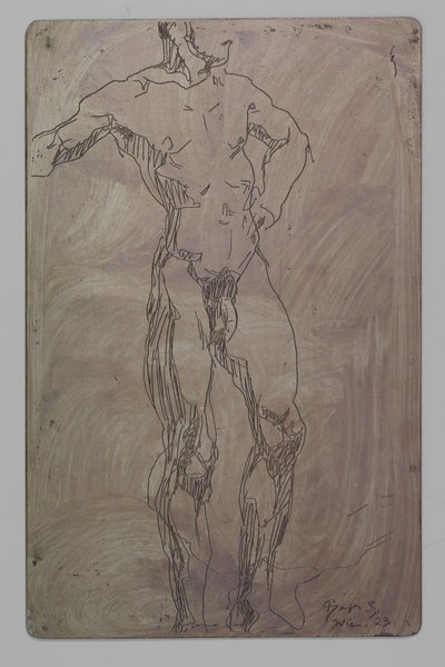 homem nu de Reijer Stolk