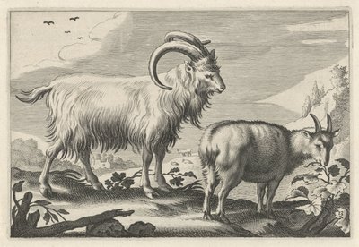 Paisagem montanhosa com duas cabras Diversa Animalia Quadrupedia (título da série) de Reinier van Persijn