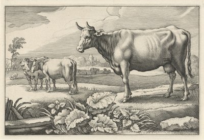 Pasto com vacas Diversa Animalia Quadrupedia (título da série) de Reinier van Persijn