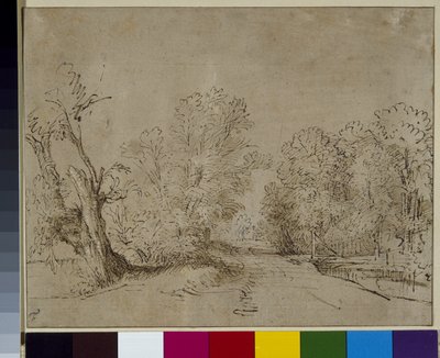 Uma estrada arborizada, c.1650 (caneta e tinta sobre papel) de Rembrandt Harmensz. van Rijn