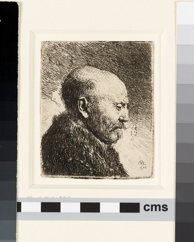 Careca de perfil à direita: pai de Rembrandt de Rembrandt van Rijn