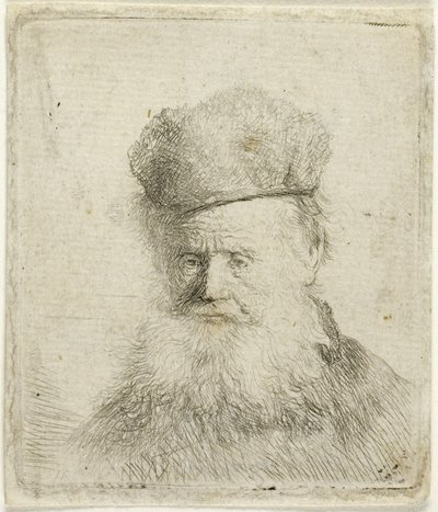 Busto de um Velho com uma touca de pêlo e barba a escorrer, c.1631 (gravura em papel) de Rembrandt Harmensz. van Rijn