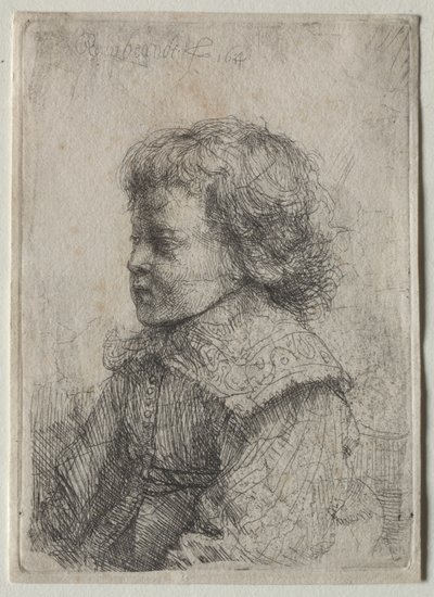 Retrato de um rapaz de perfil de Rembrandt Harmensz. van Rijn