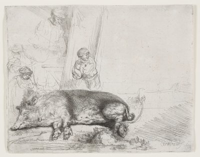 O porco de Rembrandt van Rijn
