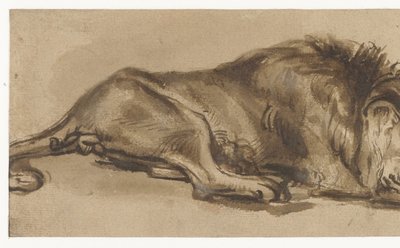 Estudo de um leão dormindo de Rembrandt van Rijn (copy after)