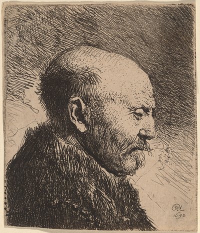 Um homem careca de perfil (o pai do artista?) de Rembrandt van Rijn