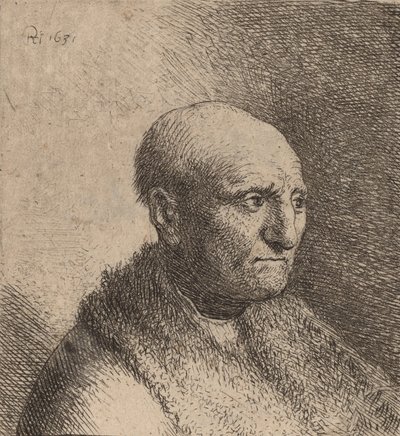 Homem careca em uma capa de pele, c. 1630. de Rembrandt van Rijn