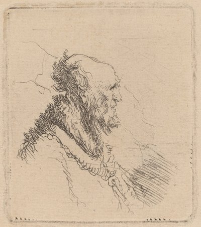 Velho careca com barba curta no perfil de Rembrandt van Rijn