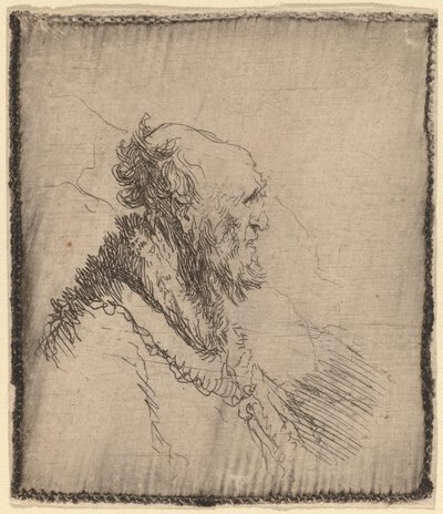 Velho careca com barba curta no perfil de Rembrandt van Rijn