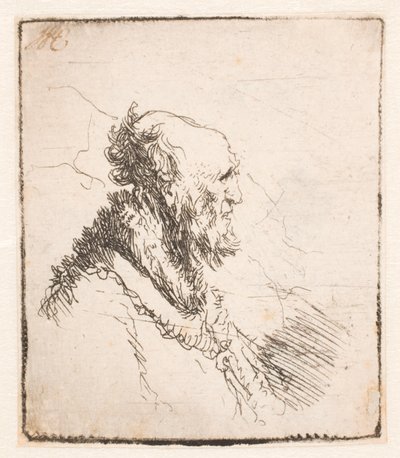 Velho careca com barba curta, de perfil direito de Rembrandt van Rijn