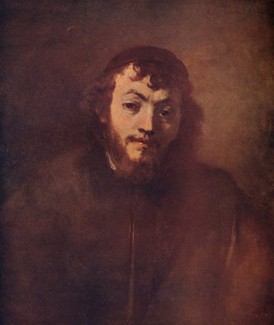 Busto de um jovem barbudo com uma calota craniana, 1663 de Rembrandt van Rijn
