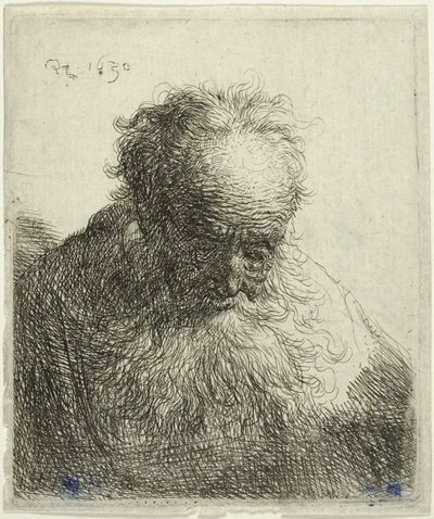 Busto de um velho com barba esvoaçante: a cabeça inclinada para a frente: ombro esquerdo sem sombra de Rembrandt van Rijn