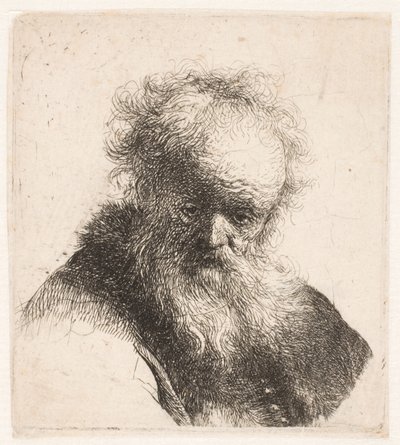 Busto de um homem idoso com barba esvoaçante e manga branca de Rembrandt van Rijn