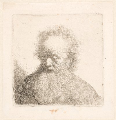 Busto de um homem idoso com barba esvoaçante: cabeça quase ereta; olhos baixos; o olhar ligeiramente virado para a esquerda de Rembrandt van Rijn
