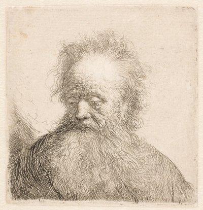 Busto de um homem idoso com barba esvoaçante: cabeça quase ereta; olhos baixos; o olhar ligeiramente virado para a esquerda de Rembrandt van Rijn
