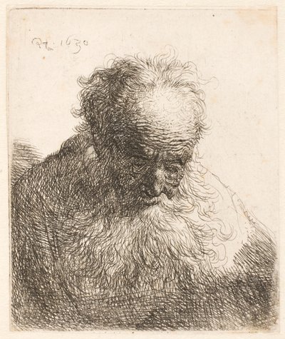 Busto de um homem idoso com barba esvoaçante: a cabeça inclinada para a frente; ombro esquerdo sem sombra de Rembrandt van Rijn