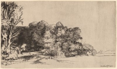 Clump of Trees with a Vista de Rembrandt van Rijn
