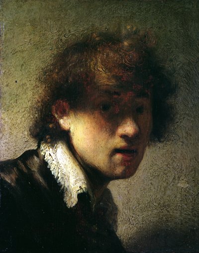 Chefe de um jovem ou auto-retrato, 1629 de Rembrandt van Rijn