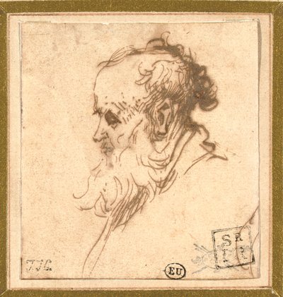 Cabeça de um homem barbudo de perfil à esquerda de Rembrandt van Rijn