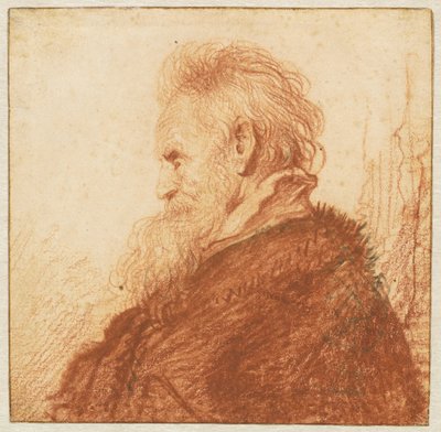 Cabeça de um Velho (reto) de Rembrandt van Rijn