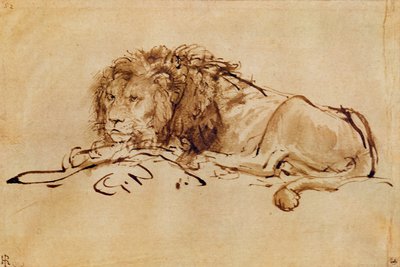 Leão descansando (caneta e tinta no papel) de Rembrandt van Rijn