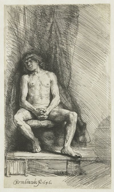 Jovem Nu, sentado diante de uma cortina
Homem nu sentado diante de uma cortina de Rembrandt van Rijn