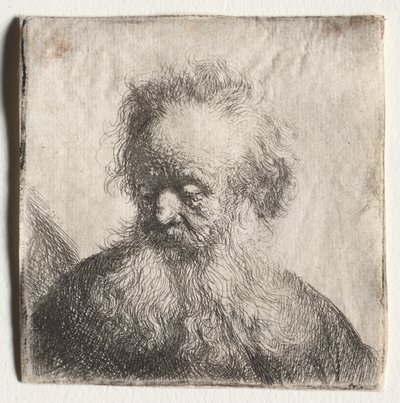 Velho com uma barba esvoaçante: Busto, 1631. de Rembrandt van Rijn