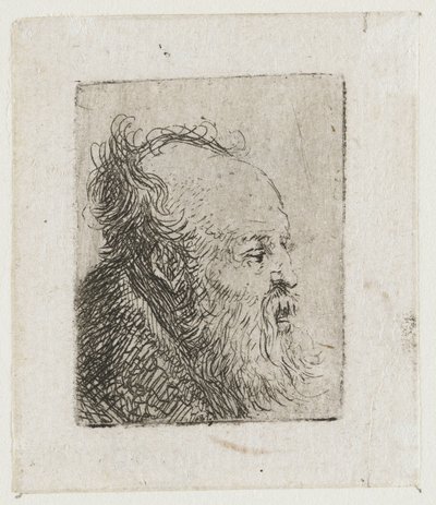 Um homem idoso com barba, com a boca entreaberta de Rembrandt van Rijn