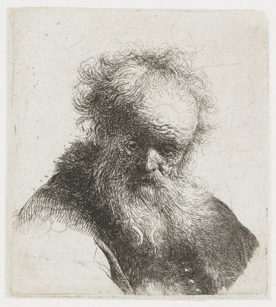 Ancião com barba comprida e manga branca de Rembrandt van Rijn