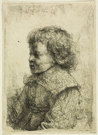 Retrato de um menino de Rembrandt van Rijn