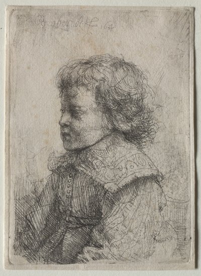 Retrato de um menino de perfil de Rembrandt van Rijn