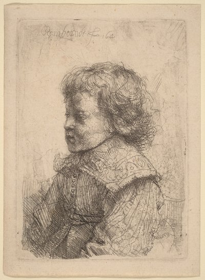Retrato de um rapaz de perfil de Rembrandt van Rijn