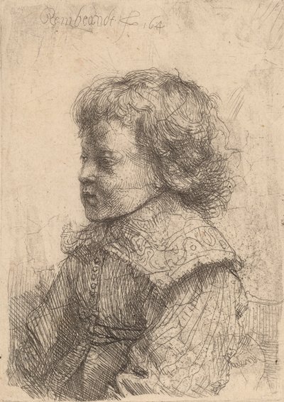 Retrato de um menino de perfil, 1641. de Rembrandt van Rijn