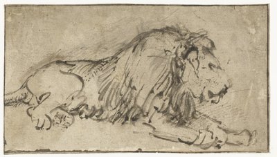 Leão Reclinado de Rembrandt van Rijn