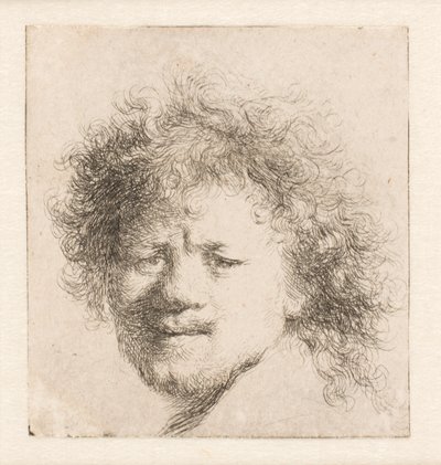Rembrandt com cabelo comprido e espesso: apenas a cabeça de Rembrandt van Rijn