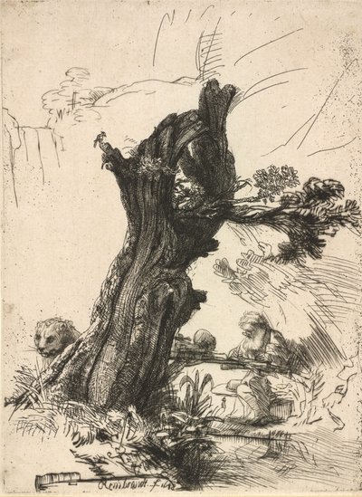 São Jerônimo ao lado de um Salgueiro Pollard, 1648. de Rembrandt van Rijn