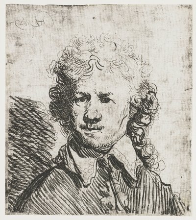 Auto-retrato, cabeça descalça
Auto-retrato com a cabeça descoberta: busto, aproximadamente gravada de Rembrandt van Rijn