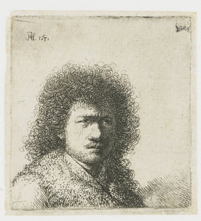 Auto-retrato com cabelo peludo: busto de Rembrandt van Rijn