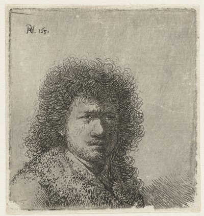 Auto-retrato com cabelo espesso: busto de Rembrandt van Rijn