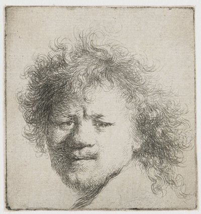 Auto-retrato com cabelo comprido e peludo: apenas cabeça de Rembrandt van Rijn